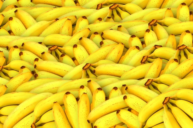 bananas cocaine smuggling