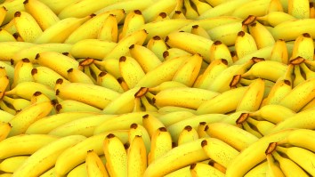 Someone Was Nice Enough To Donate Boxes Of Bananas To A Prison That Were Also Filled With $17 Million Worth Of Cocaine