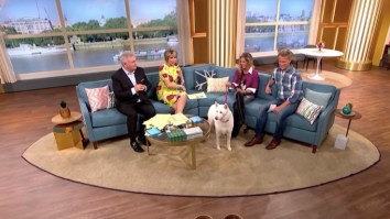 Person Who Put Their Dog On A Vegetarian Diet Gets Embarrassed On Live TV