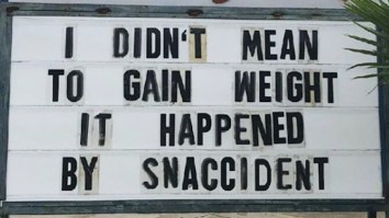 42 Of The Best Damn Photos On The Internet This Morning