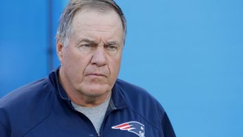 Bill Belichick Being A Loving Dog Dad To His Husky Puppy Nearly Convinced Me He’s Capable Of Emotion