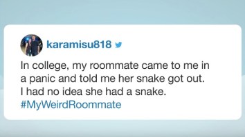 People Shared Horror Stories Of Their Weird Ass Roommates And I Hope None Of These Are About You