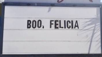 43 Of The Best Damn Photos On The Internet This Afternoon