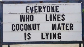 42 Of The Best Damn Photos On The Internet This Morning