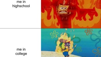 43 Of The Best Damn Photos On The Internet This Afternoon