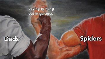 43 Of The Best Damn Photos On The Internet This Afternoon