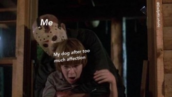 43 Of The Best Damn Photos On The Internet This Afternoon