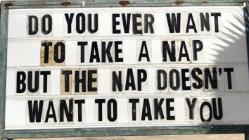 42 Of The Best Damn Photos On The Internet This Morning