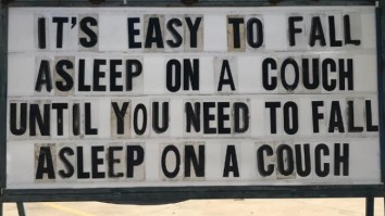 42 Of The Best Damn Photos On The Internet This Morning