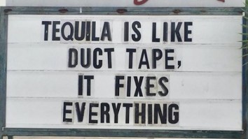 42 Of The Best Damn Photos On The Internet This Morning