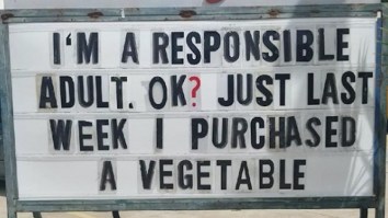 42 Of The Best Damn Photos On The Internet This Morning