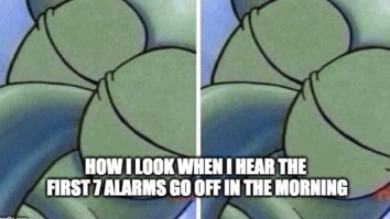 43 Of The Best Damn Photos On The Internet This Afternoon