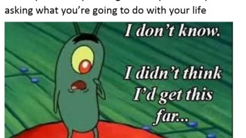 43 Of The Best Damn Photos On The Internet This Afternoon