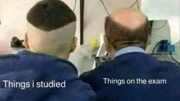 43 Of The Best Damn Photos On The Internet This Afternoon