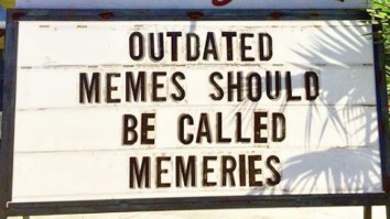 42 Of The Best Damn Photos On The Internet This Morning