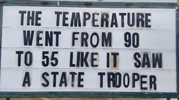 42 Of The Best Damn Photos On The Internet This Morning