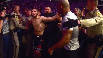 Ex-UFC Fighter Brendan Schaub 100% Predicted The McGregor, Khabib Brawl In The Crowd At UFC 229