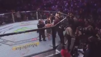 Several People Accuse Conor McGregor Of Throwing Sucker Punch During UFC 229 Brawl After New Footage Emerges