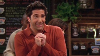 David Schwimmer’s Response To His Doppelganger Going Viral For Stealing Beer Is Absolutely Perfect