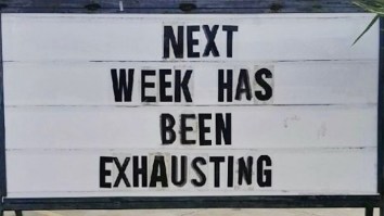 42 Of The Best Damn Photos On The Internet This Morning