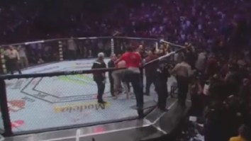 Man From Khabib Nurmagedov’s Team Jumped Into Octagon And Punched Conor McGregor In The Back Of The Head At UFC 229
