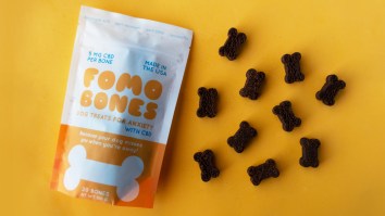 Here’s How FOMO Bones CBD Dog Treats Would Help Some Popular Fictional Pups Be More Chill