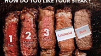 43 Of The Best Damn Photos On The Internet This Afternoon