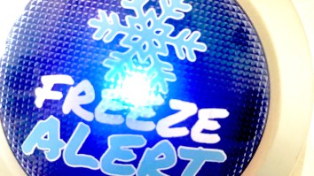 The ‘Freeze Alert’ Is An Alarm That Tells Your When Your Beer Is Cold After Sticking It In The Freezer