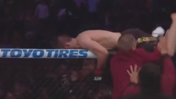 UFC 229 Descends Into Chaos After Khabib Nurmagedov Jumps Into Crowd To Fight One Of Conor McGregor’s Trainer