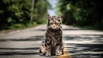 Chilling ‘Pet Sematary’ Trailer Features Creepy Kids And Evil Cats, Reminds You Sometimes Dead Is Better