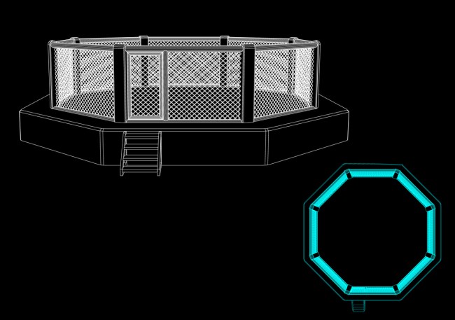 why is the ufc cage an octagon