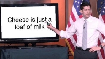 43 Of The Best Damn Photos On The Internet This Afternoon