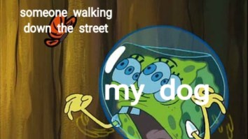 43 Of The Best Damn Photos On The Internet This Afternoon