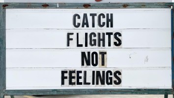 42 Of The Best Damn Photos On The Internet This Morning