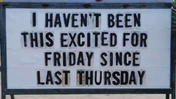 42 Of The Best Damn Photos On The Internet This Morning