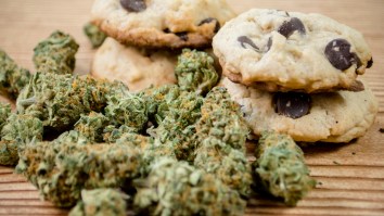How To Eat Marijuana Edibles For The First Time Without Losing Your Damn Mind