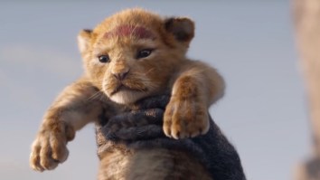 Watch The First Trailer For The New Live-Action ‘Lion King’ Starring A Ton Of Celebrities
