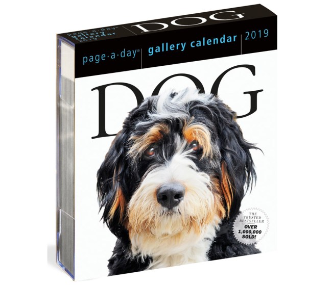 best gifts for dog lovers