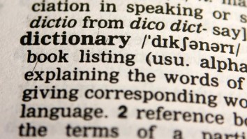 Merriam-Webster, Oxford, And Collins Dictionaries Revealed Their Words Of The Year For 2018