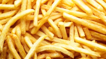 A Harvard Professor Says You Should Only Eat SIX Fries With A Meal As If That’s Even Possible