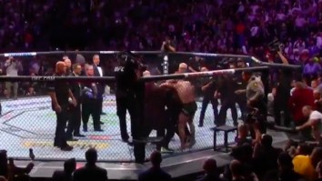 Remember That Random Guy Who Ran Into The Octagon To Protect McGregor At UFC 229? Yeah, He’s Banned