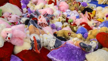 Hershey Bears Fans Set Record By Throwing 34,798 Stuffed Animals On The Ice Creating A Literal Sea Of Toys