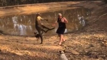 VIDEO: Australian Man Fights Kangaroo, Gets Ass Kicked, But Saves His Beer