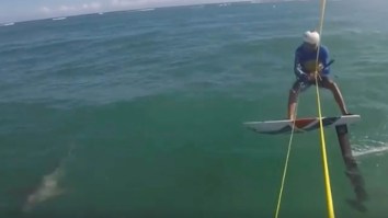 Kite Surfer Traveling At High Speeds Goes Airborne After He Collides With A GODDAMN SHARK