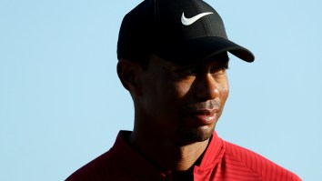 Tiger Woods’ New ESPN Movie, ‘Return Of The Roar’ Looks Like The Sports Film Of The Winter
