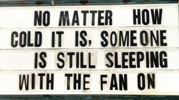 42 Of The Best Damn Photos On The Internet This Morning