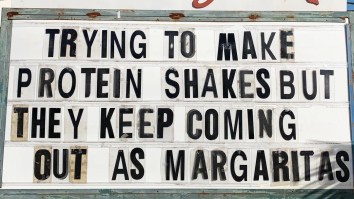 42 Of The Best Damn Photos On The Internet This Morning