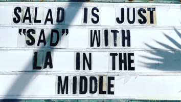 42 Of The Best Damn Photos On The Internet This Morning