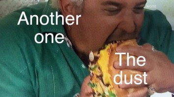 43 Of The Best Damn Photos On The Internet This Afternoon