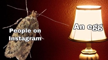 43 Of The Best Damn Photos On The Internet This Afternoon